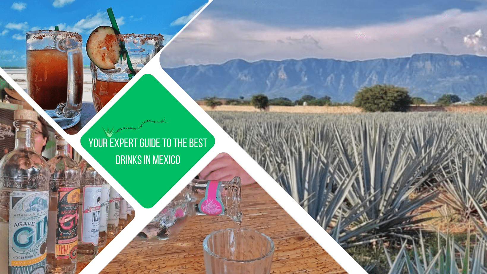 green text box: Your expert guide to the best drinks in mexico. 4 photos - 1 of agave field, 1 of 2 micheladas on the beach, 1 of row of mezcal bottles and 1 of close up of pouring mezcal