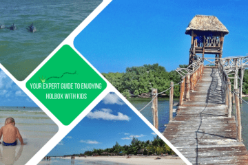 green text box: You expert guide to enjoying Holbox with kids. 4 photos of Holbox, 1 of wooden walk way over sea, 1 of beach, 1 of kid sitting facing away from camera on sand and 1 of 3 dolphins in green sea