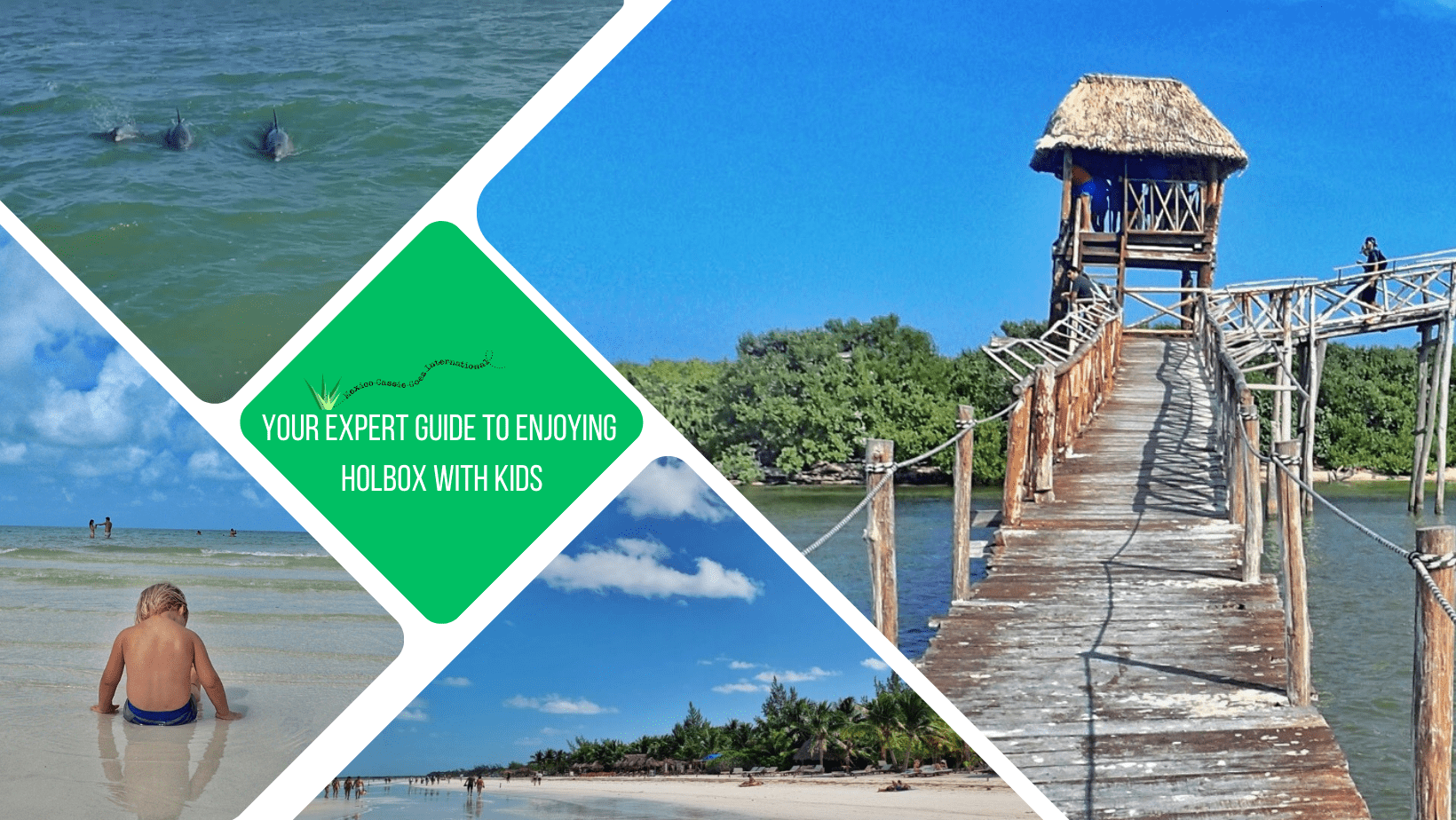 green text box: You expert guide to enjoying Holbox with kids. 4 photos of Holbox, 1 of wooden walk way over sea, 1 of beach, 1 of kid sitting facing away from camera on sand and 1 of 3 dolphins in green sea