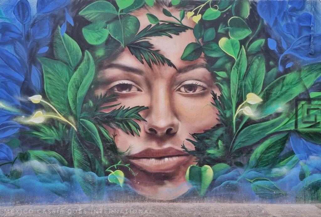 street art - face surrounded by green leaves and blue wall