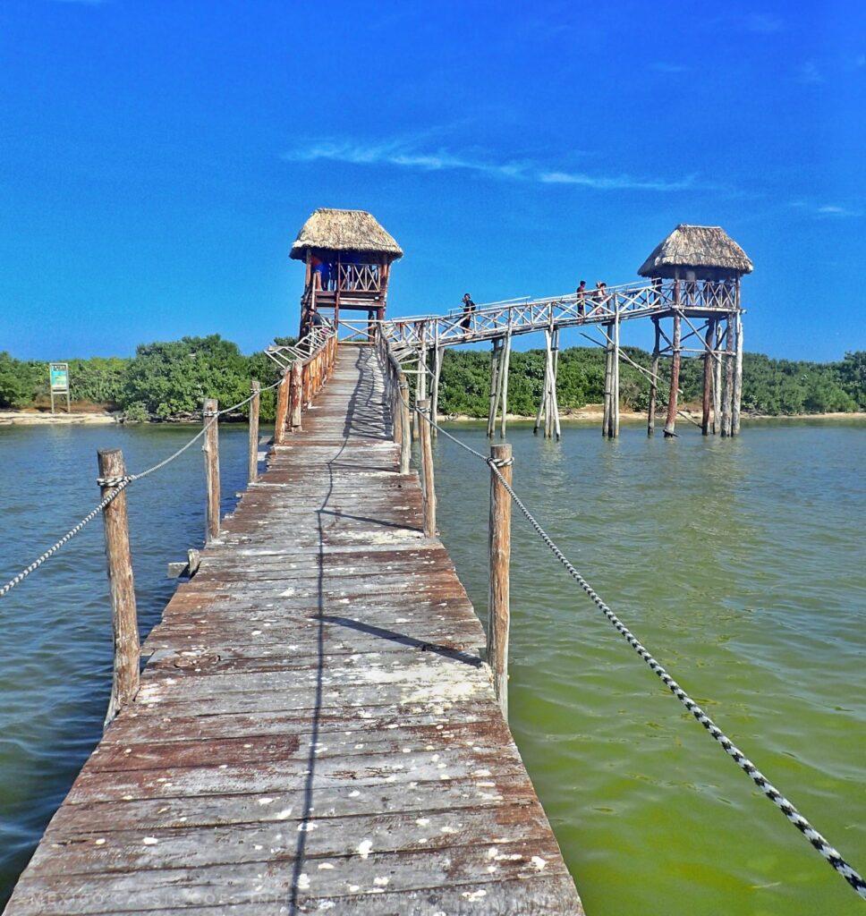 wooden path way over green water to a viewing platform in front of an island covered in trees
