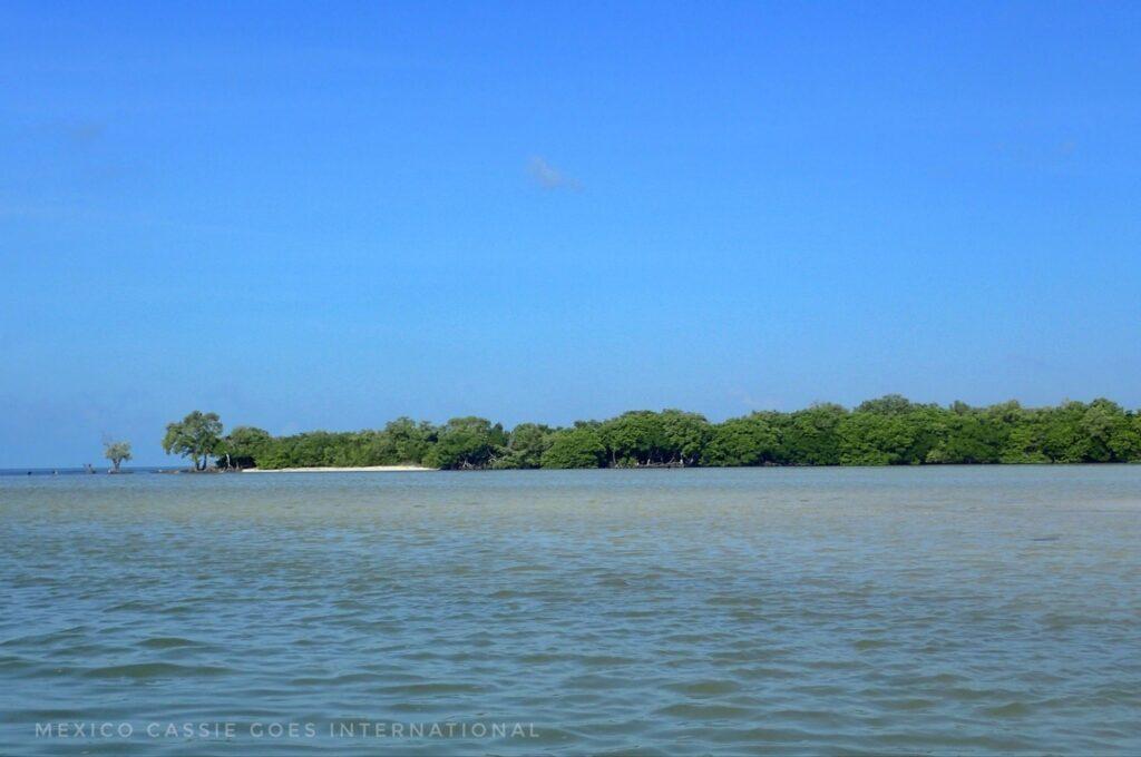 view over calm sea too island covered in trees