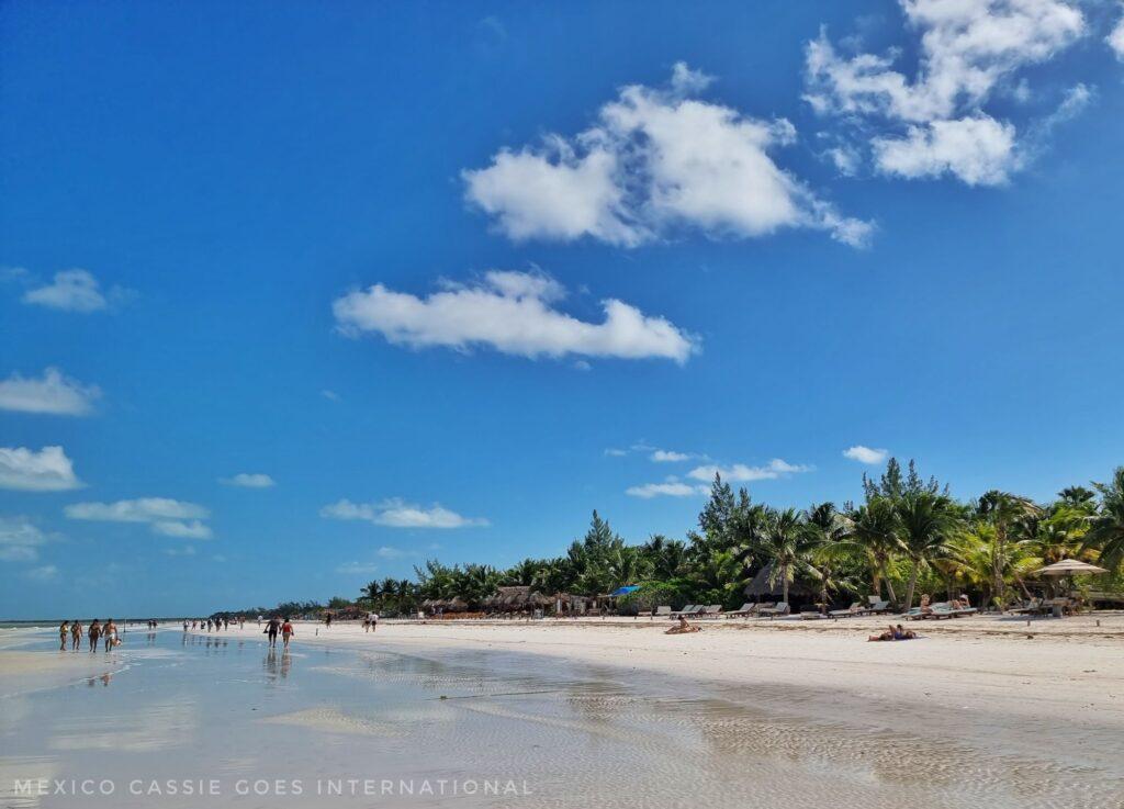 almost empty beach, shallow water, trees on other side of sand. blue sky