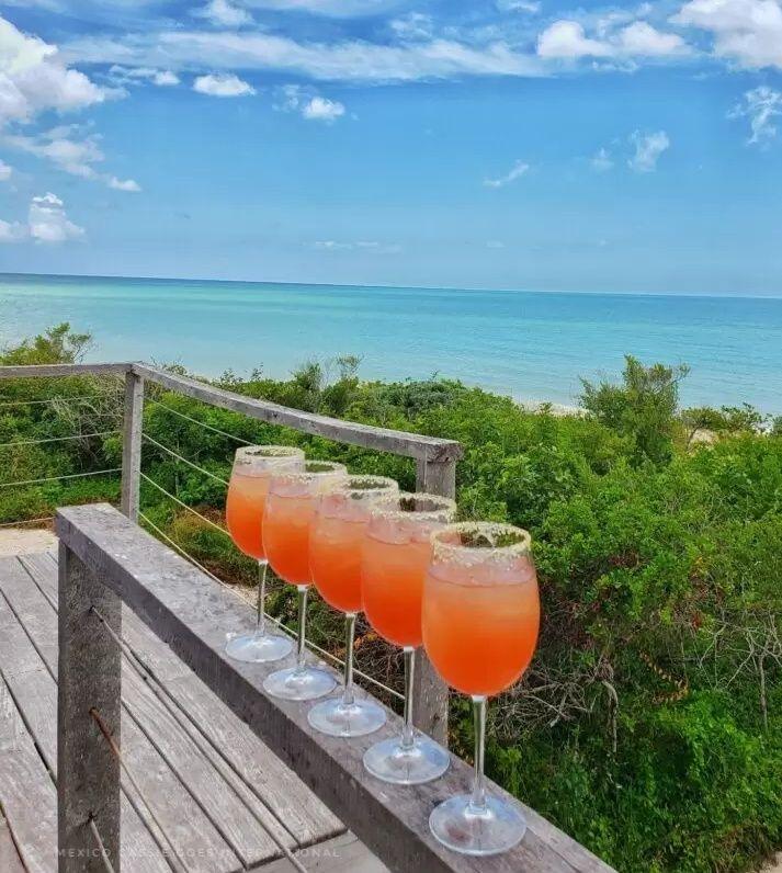 5 wine glasses filled with a pink cocktail sitting on a wooden ledge , sea, bushes and sky behind