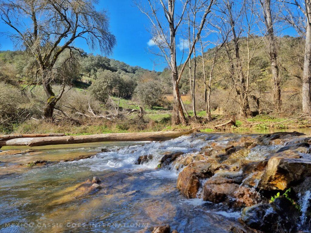 peaceful river with small rocky area, blue sky, trees