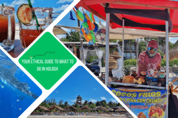 green text box: your ethical guide to what to do in Holbox. 4 photos - 1 of man cutting coconut behind his beach stall, 1 of 2 micheladas against blue sky, 1 of a whale sharr,r 1 of holbox beachline