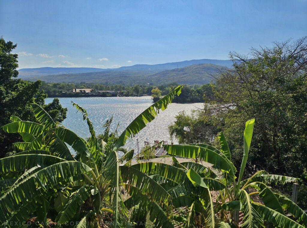 view over river - palm trees, blue sky