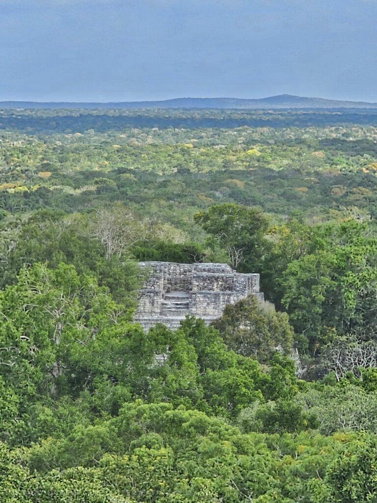 view of a maya pyramid peeking out through trees
