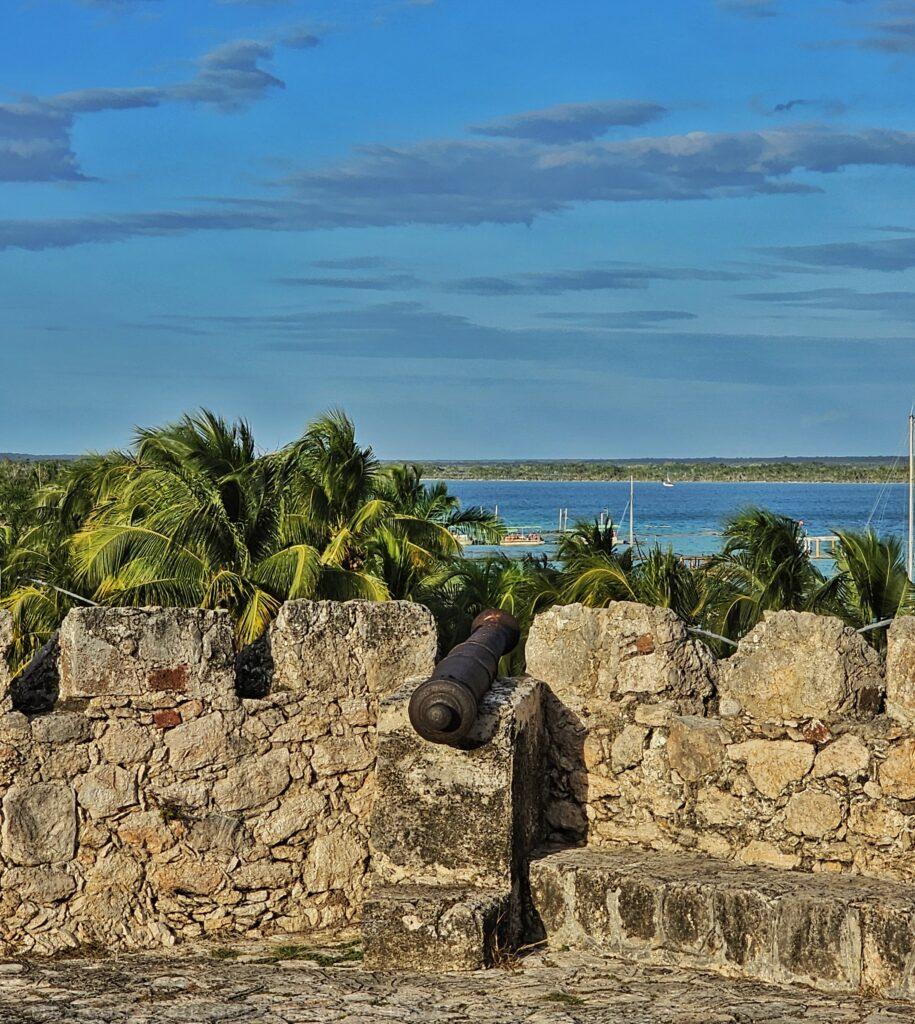 crenelated wall with cannon facing out towards the blue water beyond. blue sky and palm trees also visible
