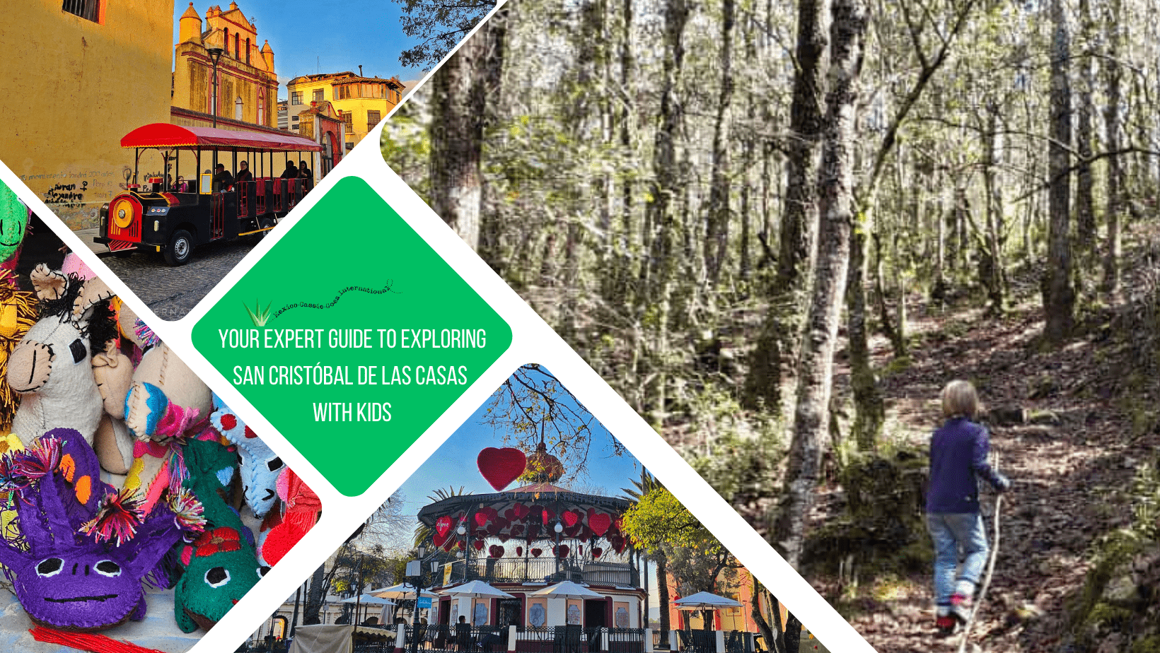 green text box: your expert guide to exploring san cristobal de las casas with kids. 4 photos - 1 of kid in forest, 1 of mini tourist train, 1 of plaza, 1 of toys in market