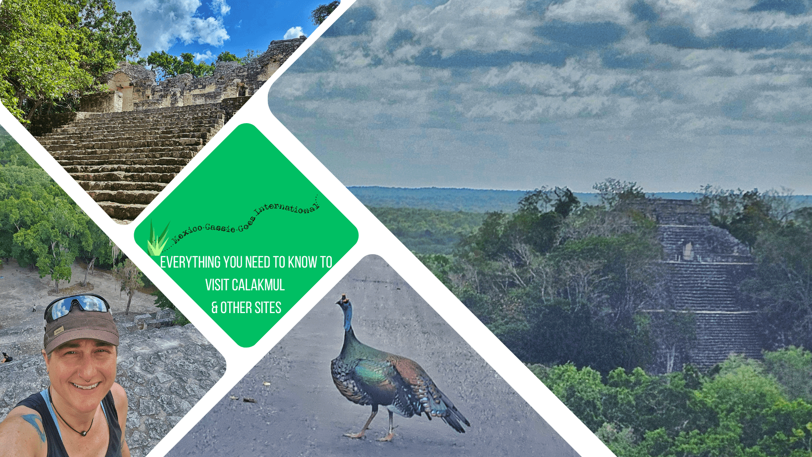 green text box: everything you need to know to visit calakmul & other sites. 4 photos, 2 of pyramids, 1 of colourful bird and one of cass on a pyramid
