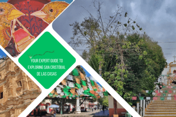 green text box: your expert guide to exploring san cristobal de las casas. 4 photos, 1 of steps up to a church, 1 of bunting on a plaza, 1 of an ornate church, 1 of street art of 2 birds
