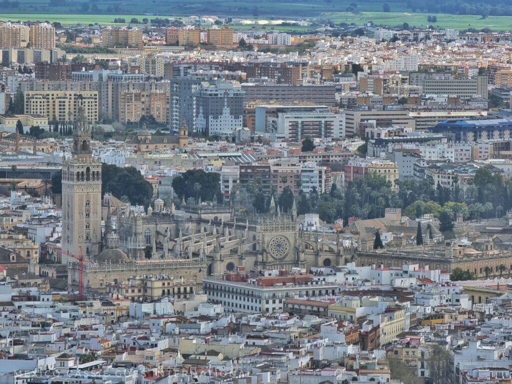 view of Seville from a very tall mirador - focus is the cathedral