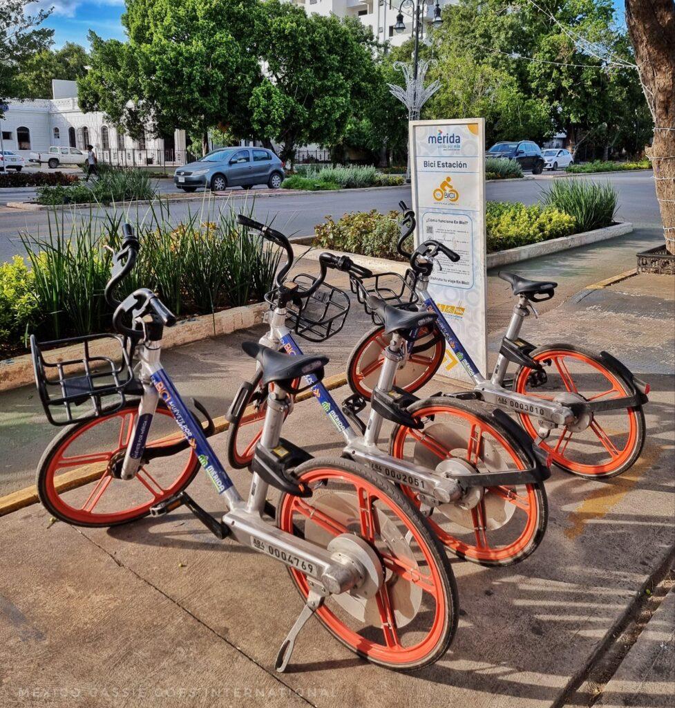 3 city bikes by a white info sign explaining how to rent them