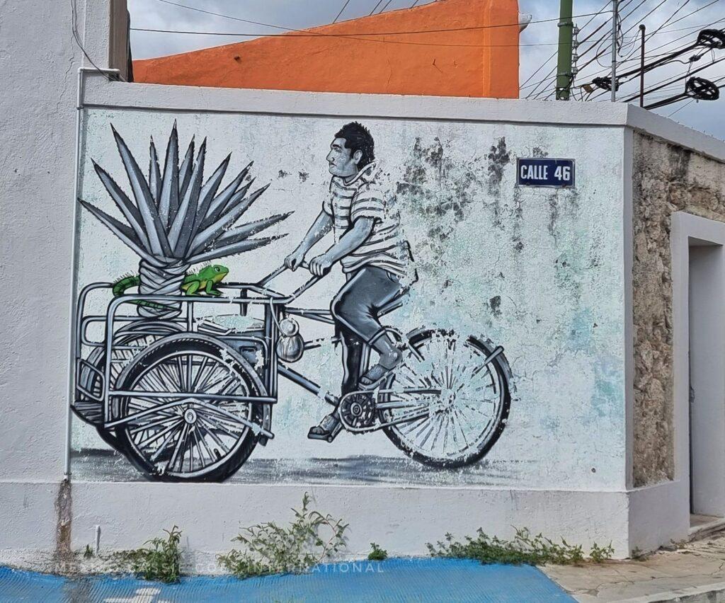 street art drawing of a guy on a bike/trike with a hennequen plant in the front basket, there's a green iguana there too