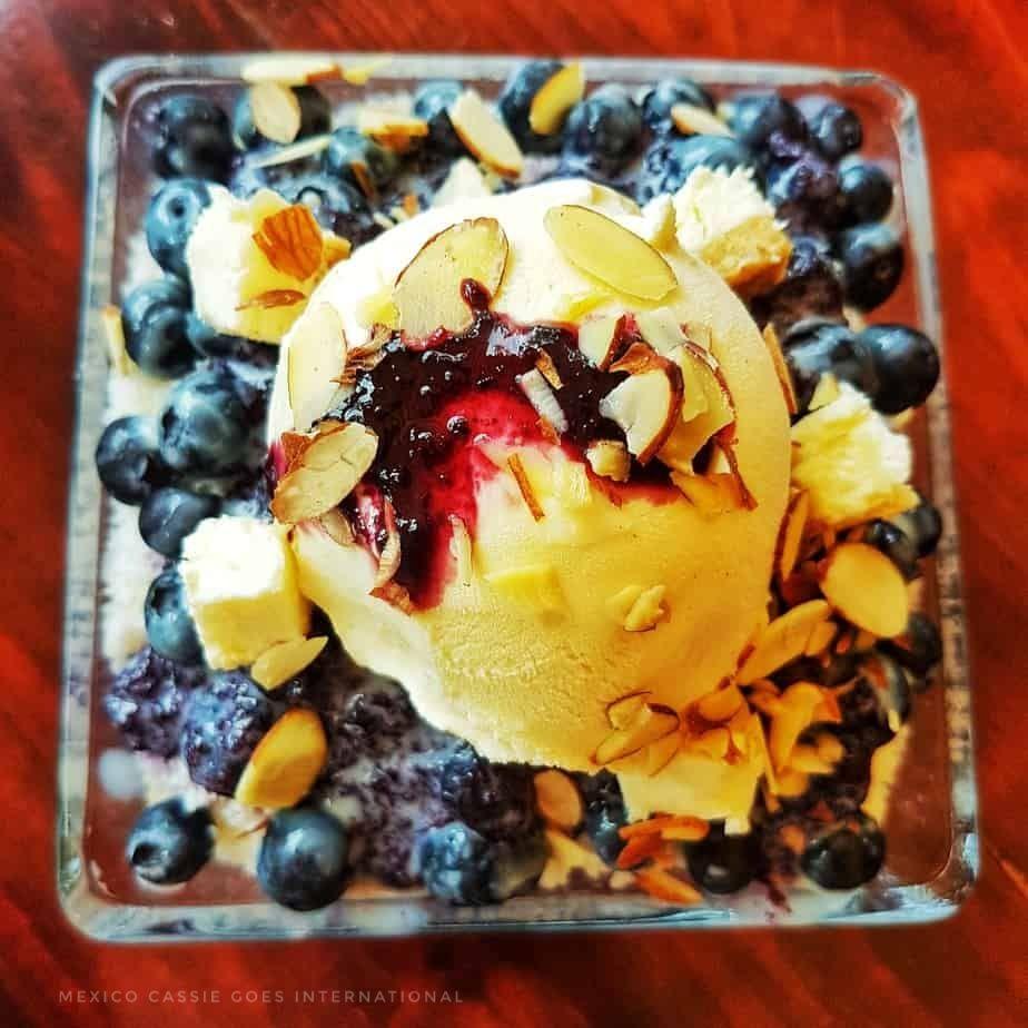 square bowl with vanlla ice cream, blueberries and nuts