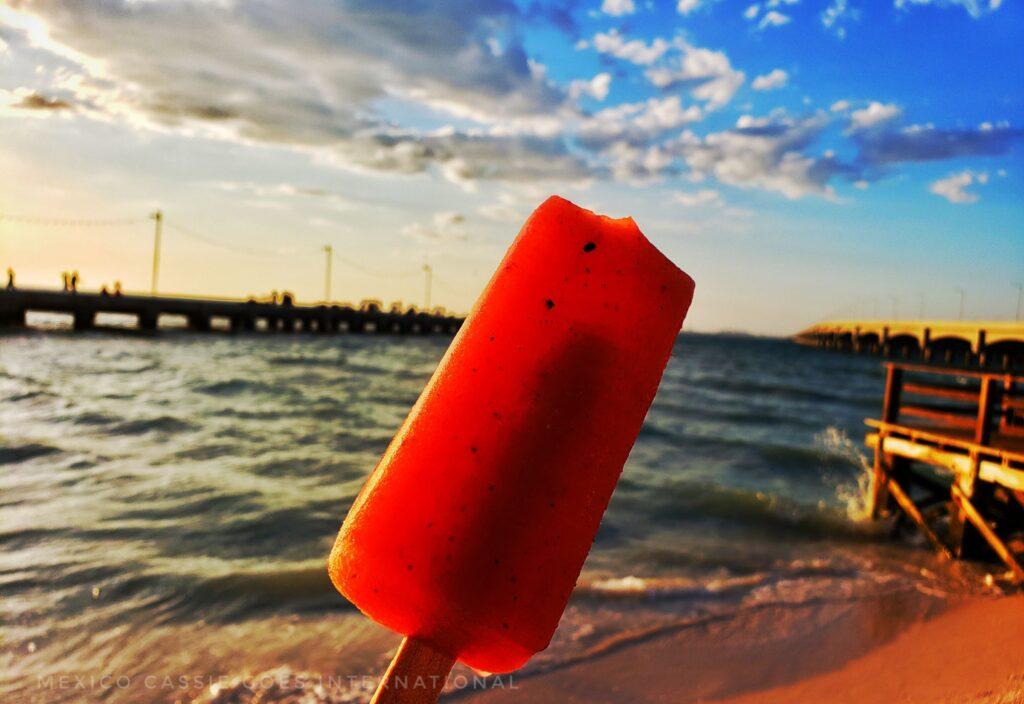 red ice lolly on a stick held up against ocean