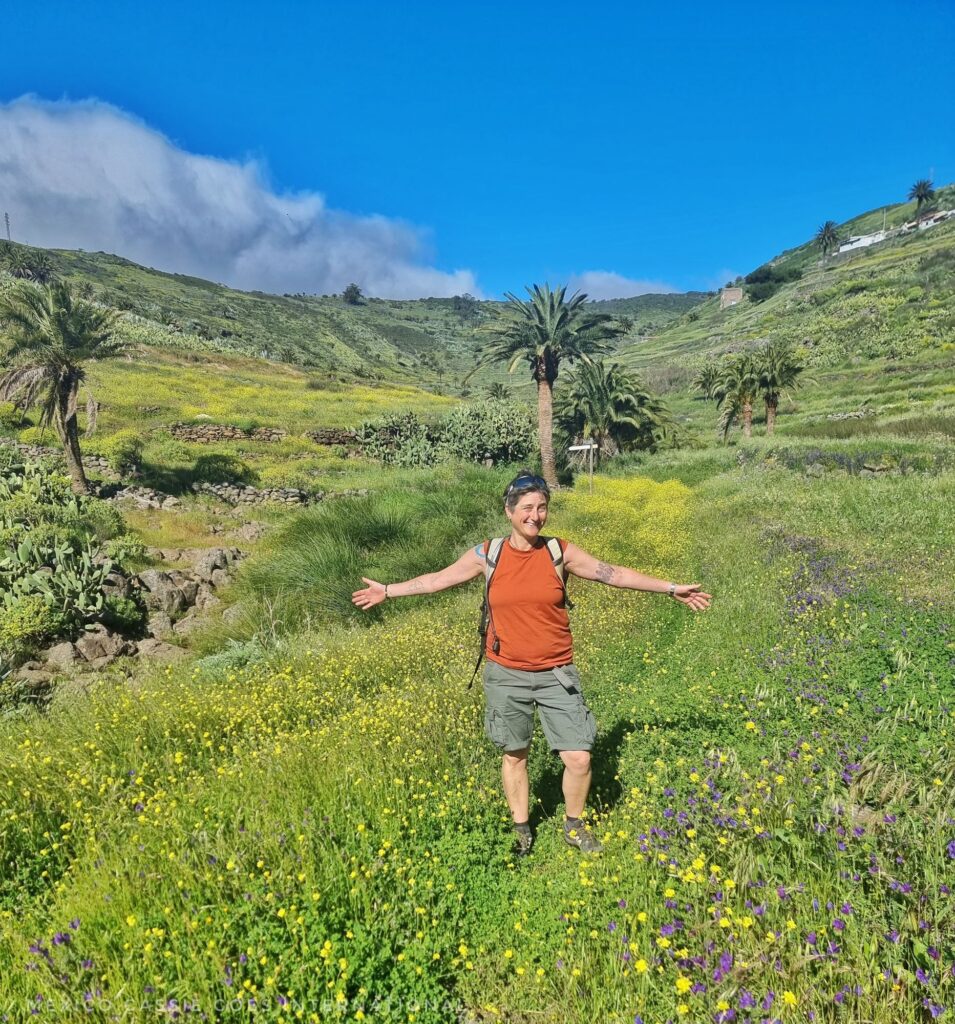 person in shorts and orange tshirt standing in field of grass and wild flowers, hills behind