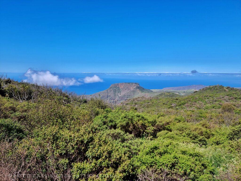 view over green trees and hills to the sea