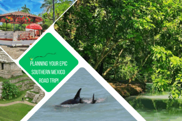 green text box: planning your epic southern Mexico road trip! 3 photos, 1 of thermal green lake with trees all around, 1 of 2 dolphins, 1 of plaza with colourful bandstand and 1 of Palenque