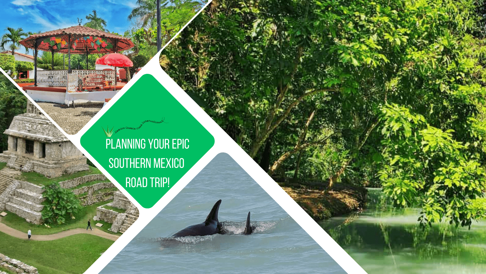 green text box: planning your epic southern Mexico road trip! 3 photos, 1 of thermal green lake with trees all around, 1 of 2 dolphins, 1 of plaza with colourful bandstand and 1 of Palenque