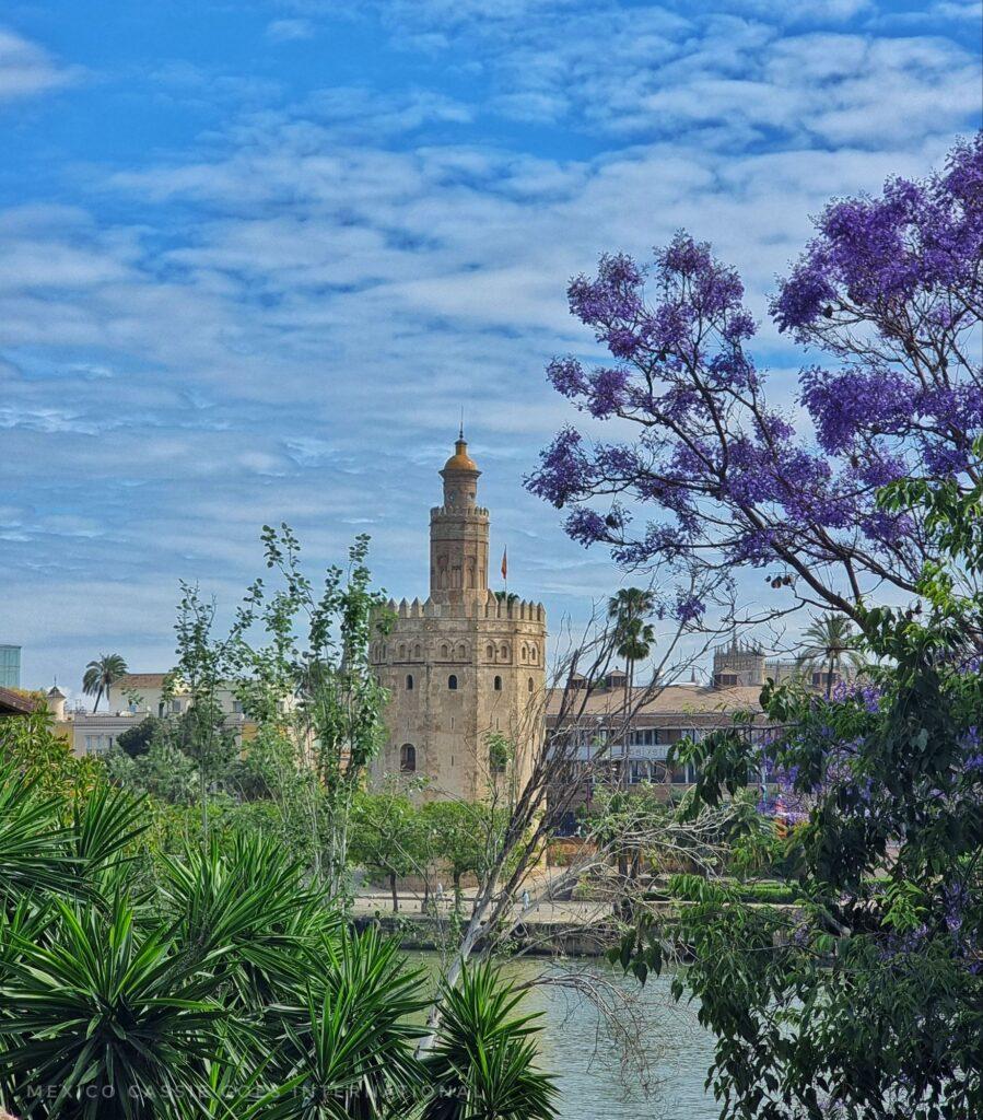 Torre del Oro photo taken from other side of river through greenery and purple jacaranda