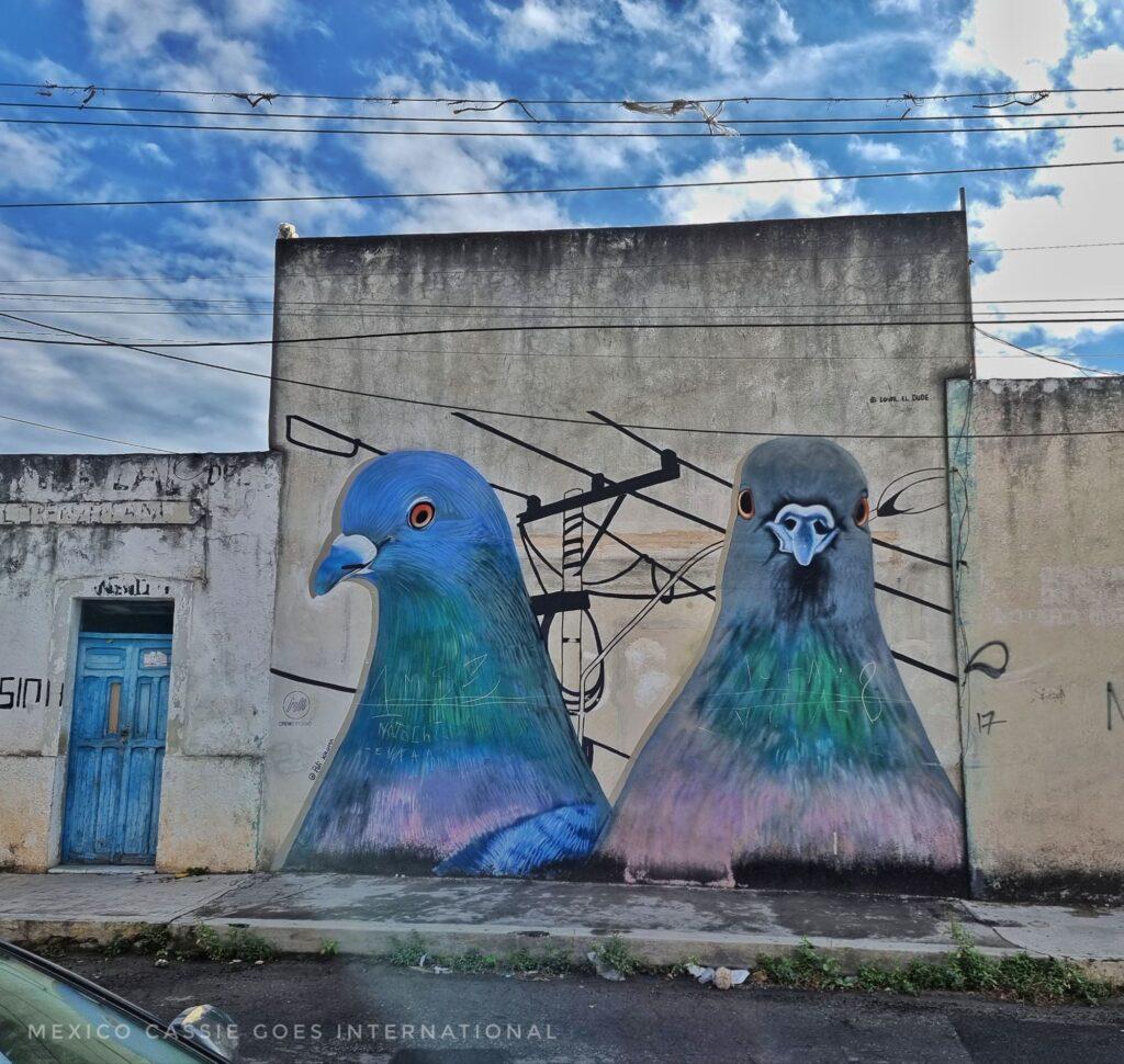 street mural of 2 pigeons (head and breast only)