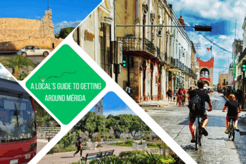 green text box: a local's guide to getting around mérida. 4 photos. 1 of 2 people on bikes cycling down a street, 1 of someone walking on a plaza, 1 of car in front of ornate roundabout, 1 of front of a bus