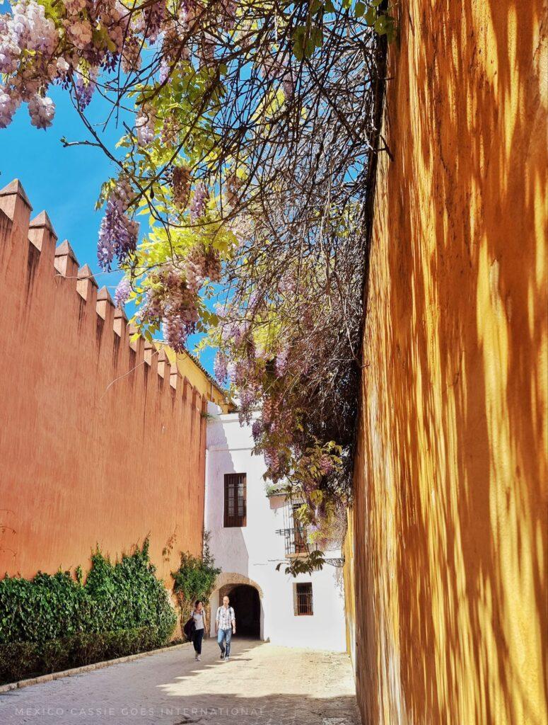 narrow road, turreted wall on left, white building at end, trees, yellow wall on right