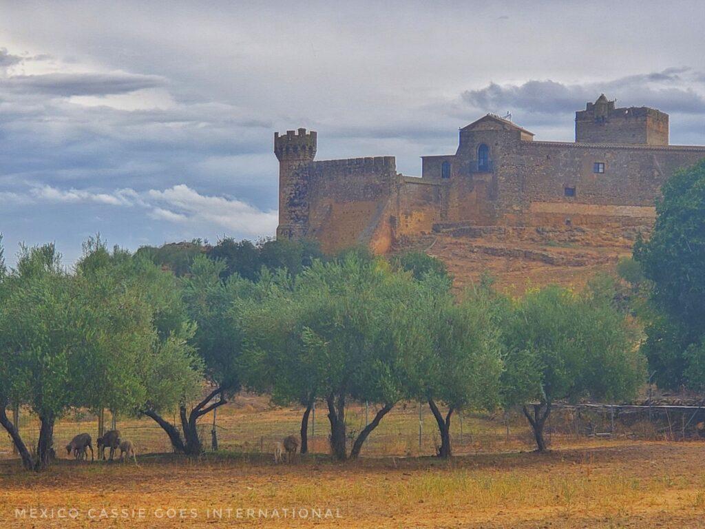 castle with olive trees in front of it