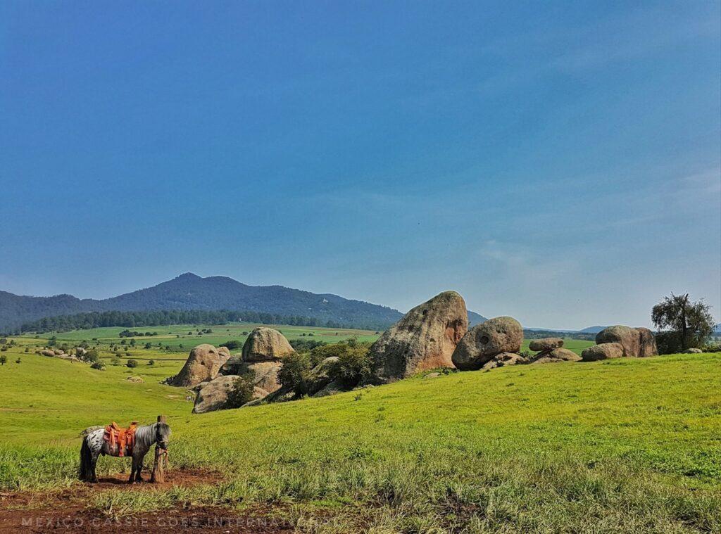 sunny day, green fields, blue sky, monolithic rocks in middle of photo and one donkey on left of photo