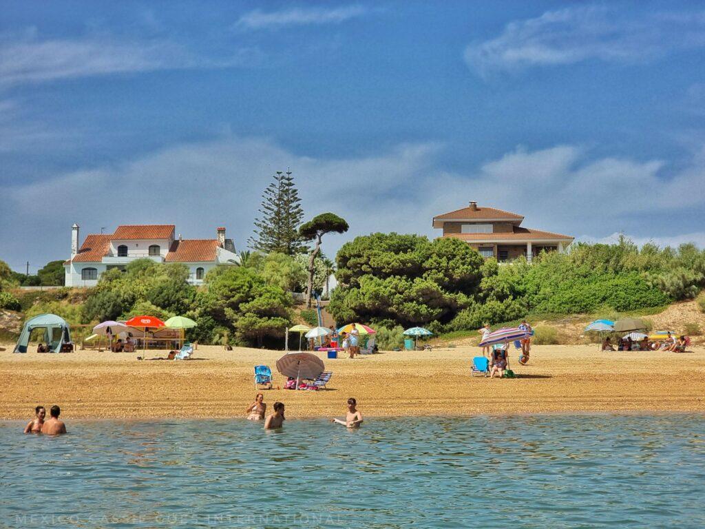 photo of beach taken from in the sea - blue calm water, sandy beach with a few people here and there, trees and houses at back