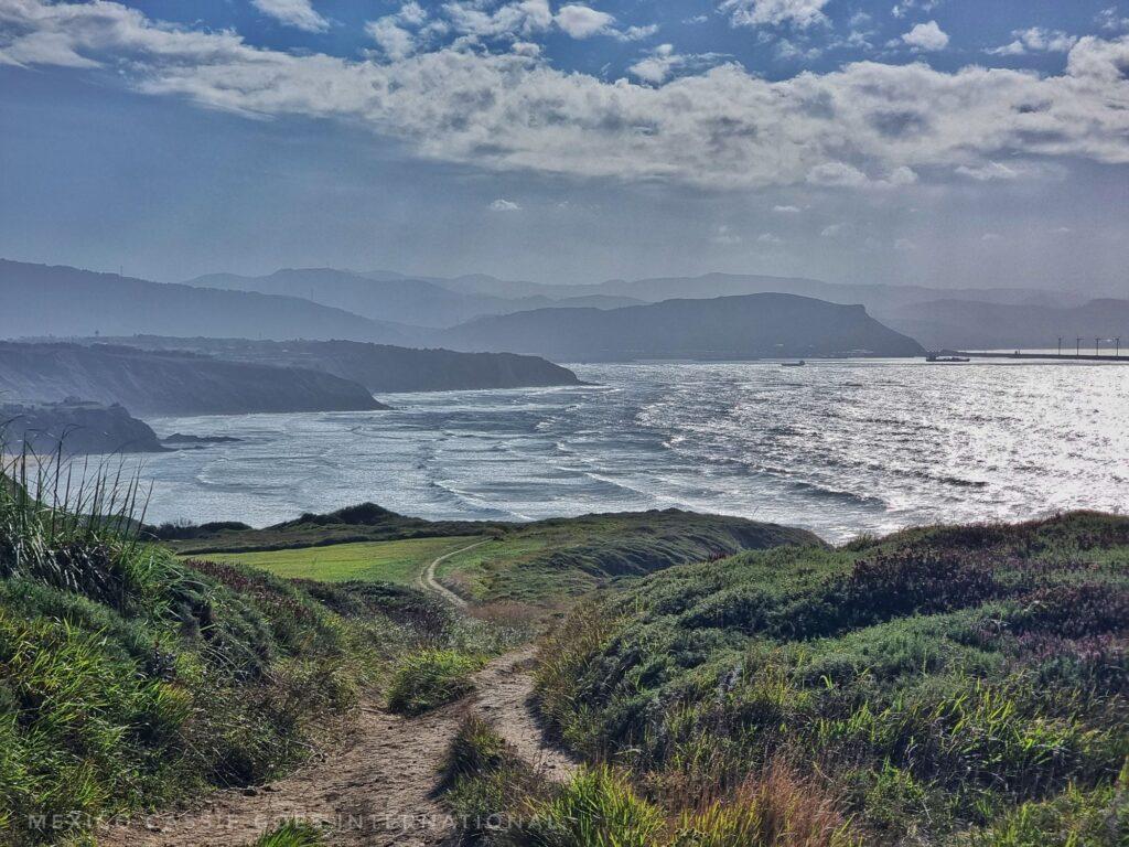 coastal path with heather on either side and ocean and hills in distance in front