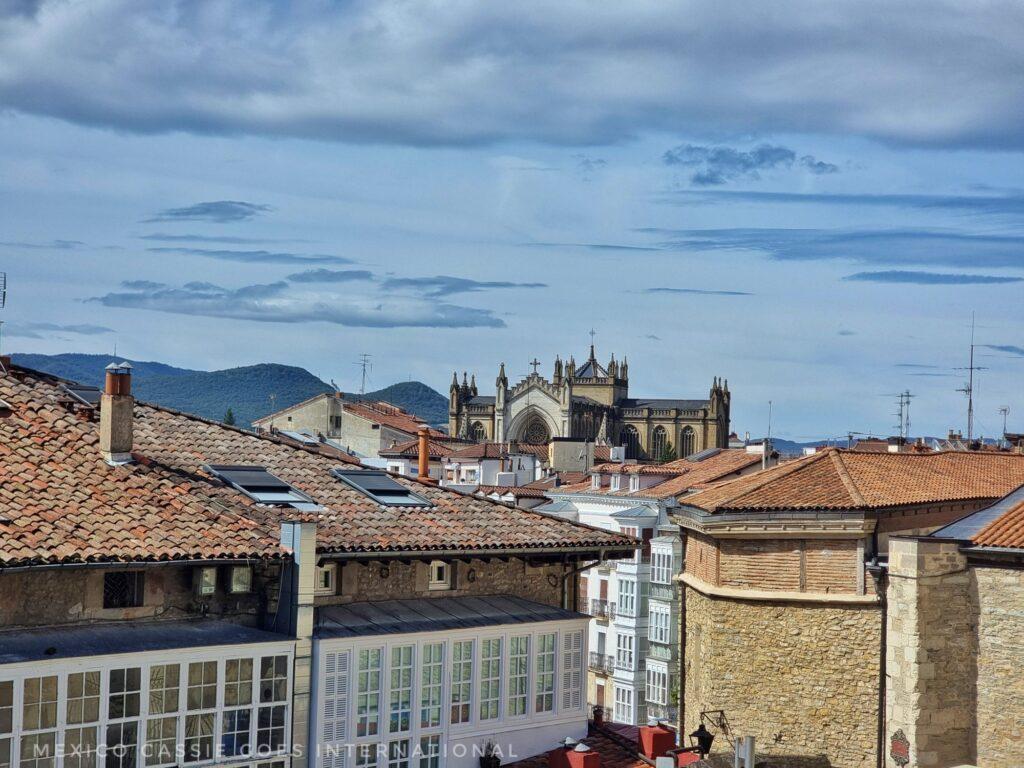 'new' cathedral in distance over roofs of houses