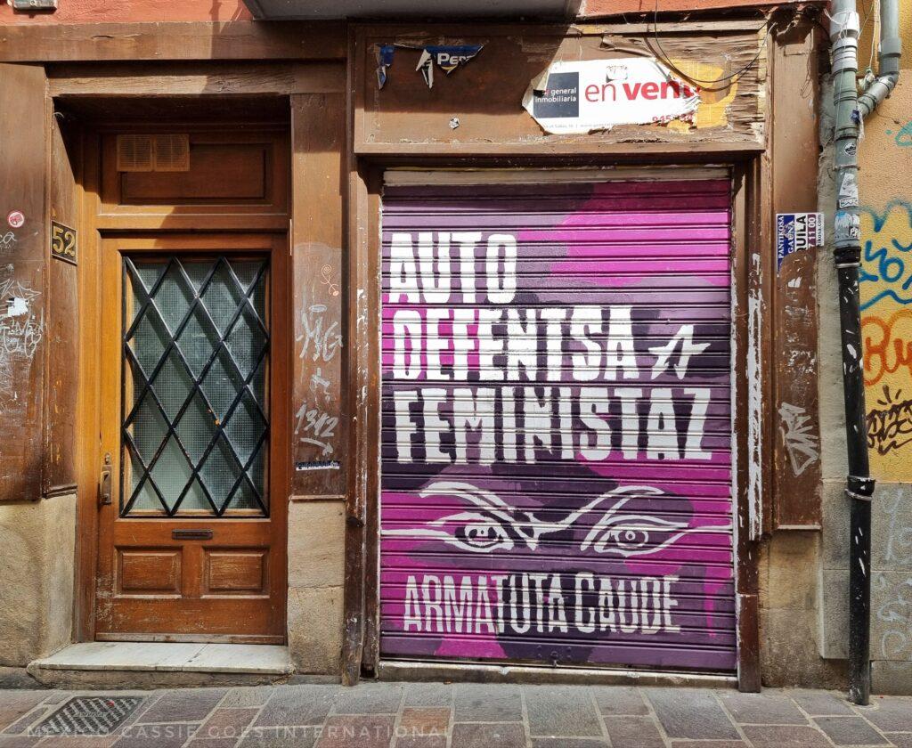 door grating with street art that says "Auto defensa feministaz, purple background and white eyes watching