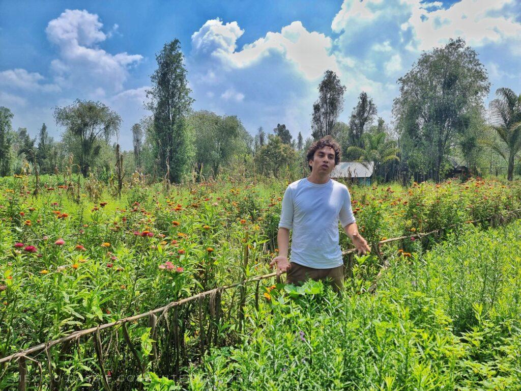 man in grey tshirt standing in field of green plants