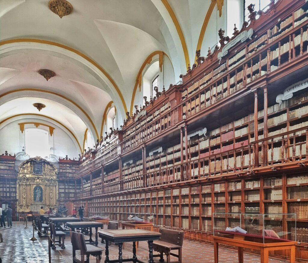 photo taken down the length of the library, shelves on right all full of books, tables and chairs in the middle of the room, arched ceilings
