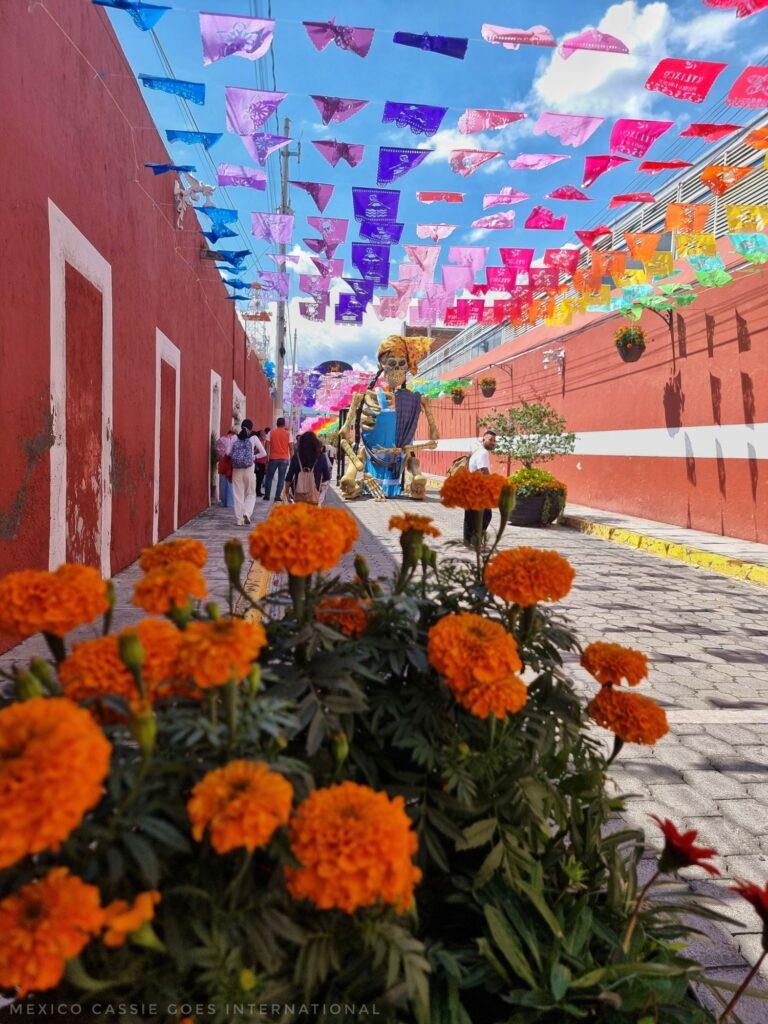 colourful street, cempasuchil flowers in foreground, bunting flying