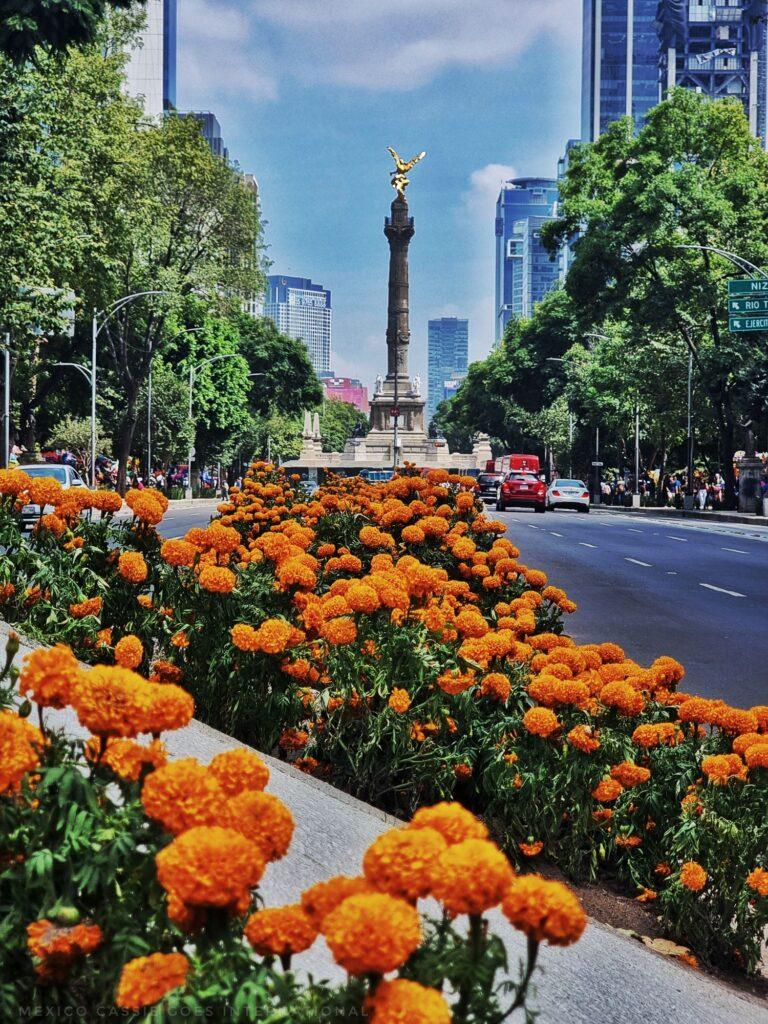 angel de independencia in distance, trees on both sides of road and cempacuchiles in center leading to angel