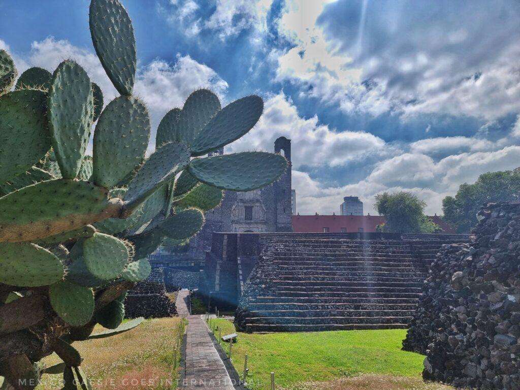 Aztec ruins with a cactus taking up much of the left of the shot