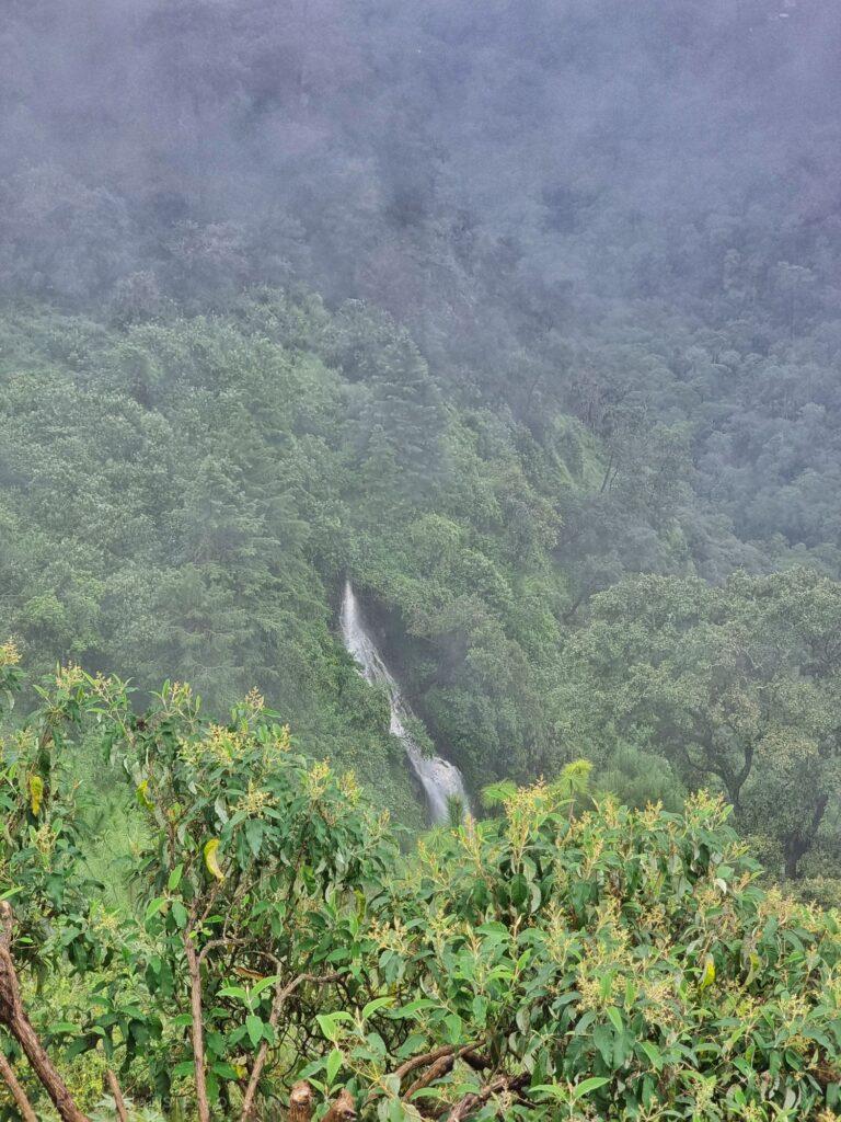 waterfall in a heavy forest, photo taken from above