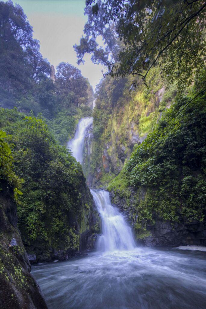 narrow waterfall flowing into pool of water, trees and rocks on either side
