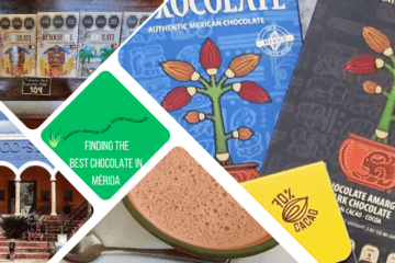 green text box: finding the best chocolate in Mérida. photos of bars of chocolate, 1 of a cup of frothy hot chocolate and 1 of a blue building facade with arches