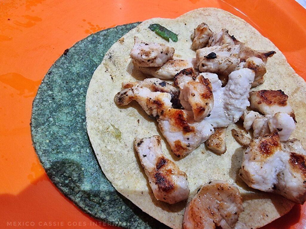 two tacos (one blue, one white) meat on top of white one