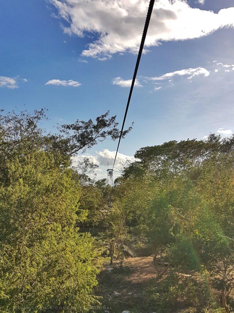 looking along the line of a zipline through trees