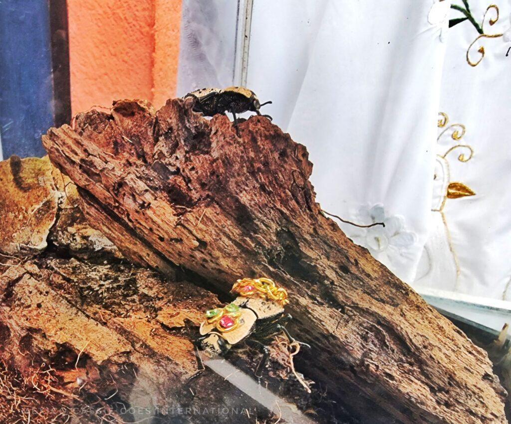 large piece of wood with two beetles (both with jewels on their backs)