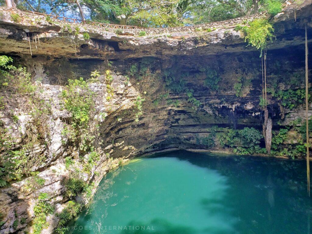 deep, open cenote, very green water, steep round walls towering above water, trees and bit of fence in picture at top of cenote