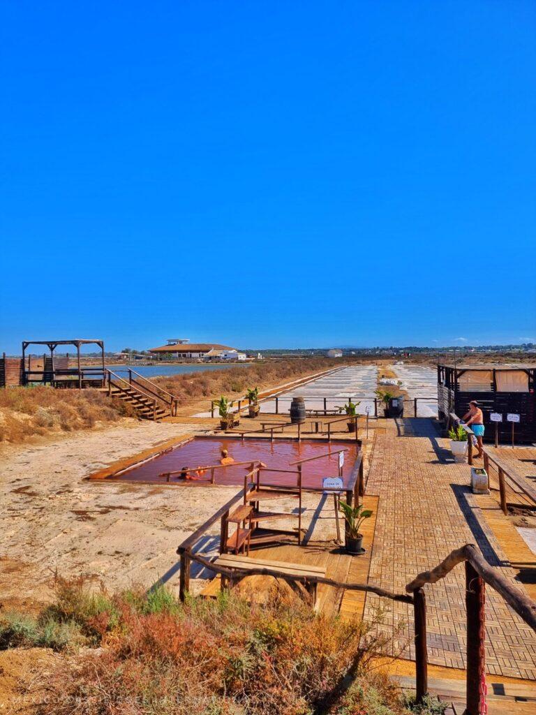 blue sky, wooden paths next to pink water
