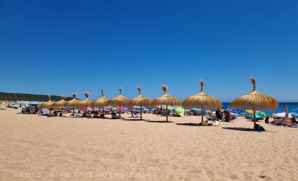 blue sky beach scene, long row of straw beach umbrellas on sand