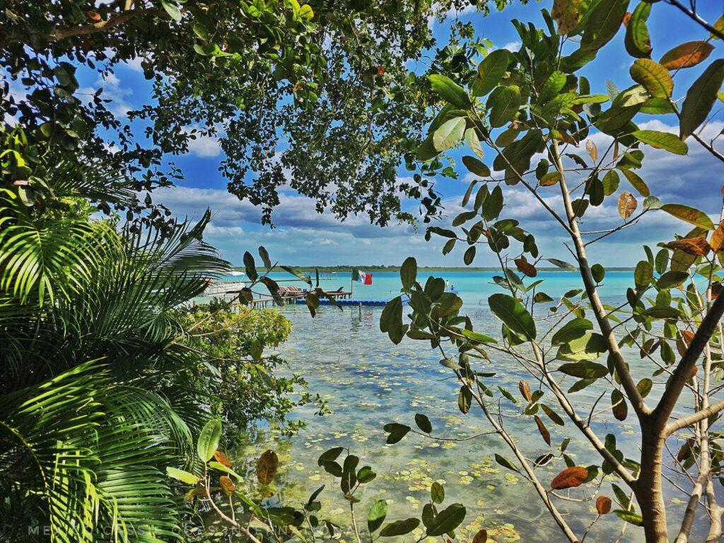 view through trees to turquoise water and mexican flag